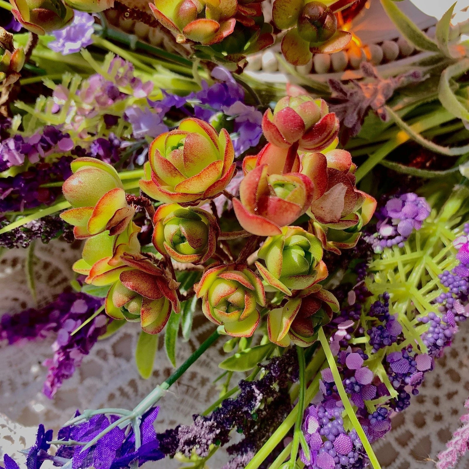 Live Aeonium Saundersii Succulent Bare Root Plant, Rosette, Drought Tolerant, Indoor Outdoor, Wedding Favors, Aeonium saundersii