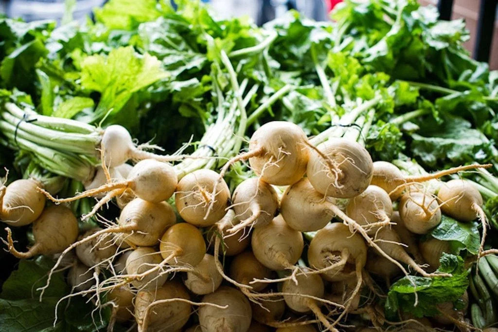 White Albino Beet Seeds - Holland Heirloom, Non-GMO, Organic Vegetable Seeds, Beta vulgaris
