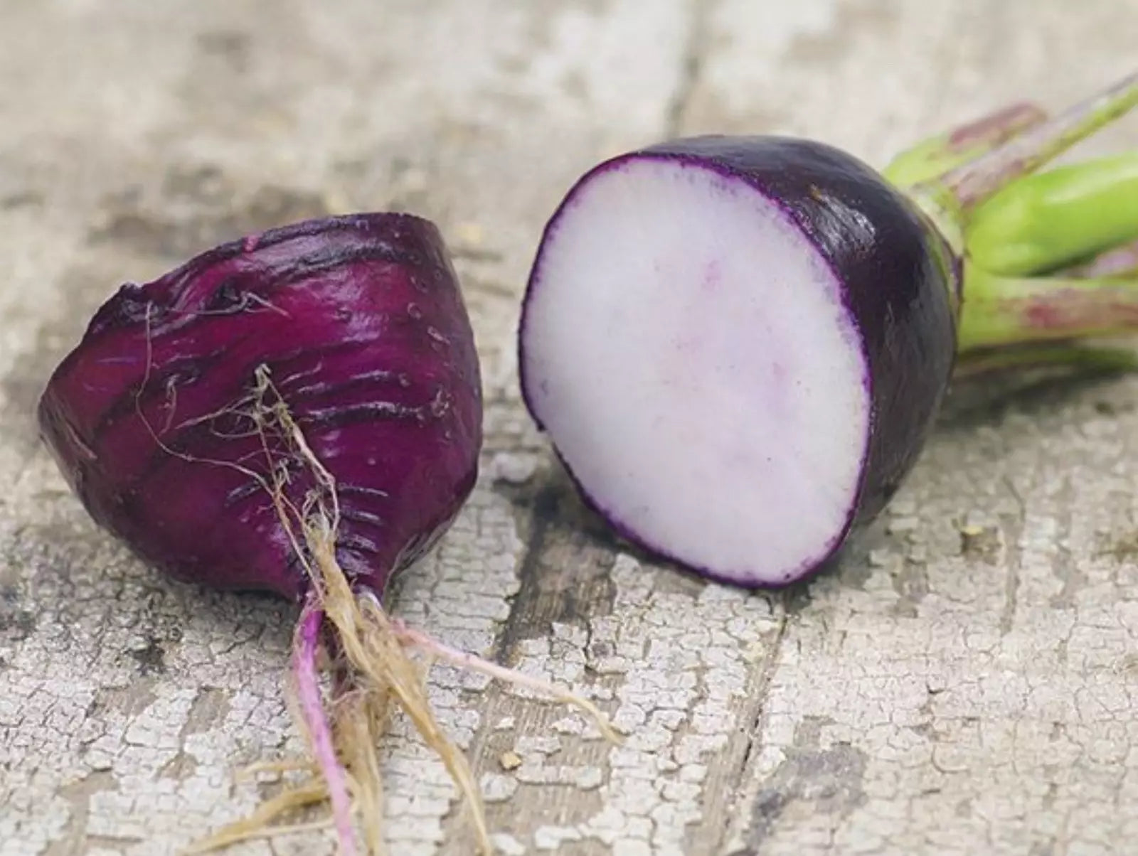 Purple Plum Radish Seeds - Organic Heirloom, Non-GMO, 50+ Premium Raphanus sativus Seeds for Salad, Garnish & Container Gardening
