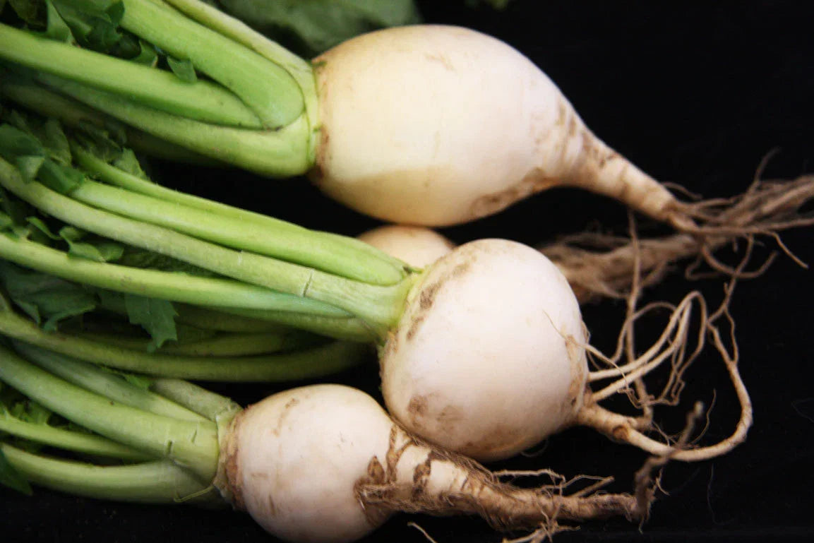 Turnip Seeds White Egg Variety - Brassica rapa - Fresh Non-GMO Seeds for Planting
