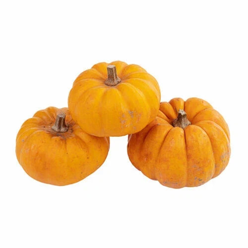 Jack Be Little Pumpkin Seeds - Mini Orange Heirloom Cucurbita pepo for Fall Decor & Gardening, 25+ Seeds Seed Packet