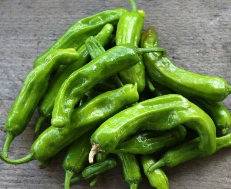 Sweet Japanese Shishito Pepper Seeds - 25 Non-GMO Heirloom Capsicum annuum for Container & Garden Growth