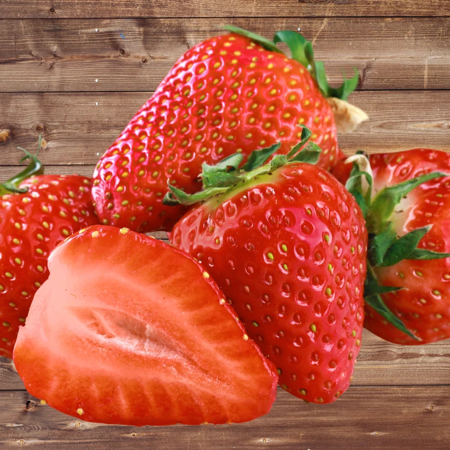 Seascape Strawberry Roots Bare Root Plants - Ever-Bearing Fragaria x ananassa for Garden, Container, or Raised Bed