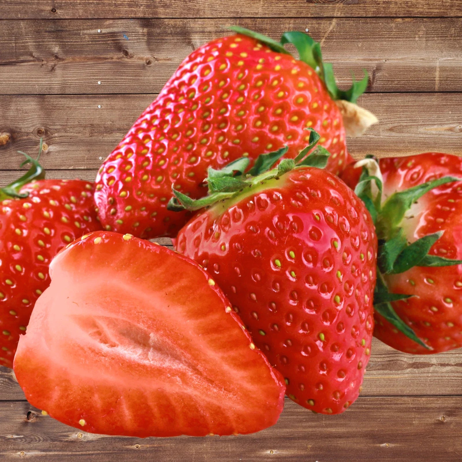 Seascape Strawberry Roots Bare Root Plants - Ever-Bearing Fragaria x ananassa for Garden, Container, or Raised Bed