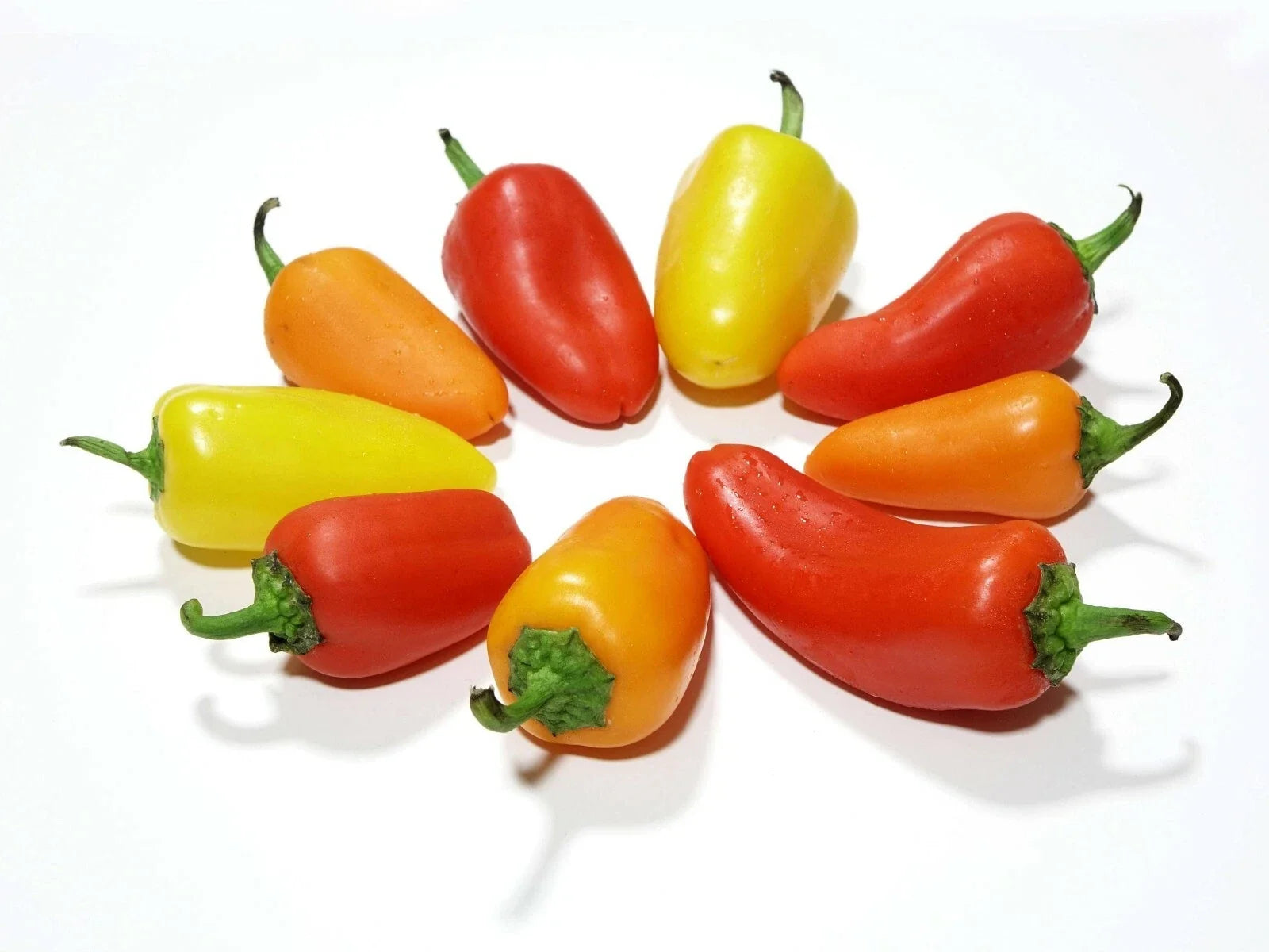 Santa Fe Grande Hot Pepper Seeds – Heirloom Capsicum annuum for Spicy Yellow-Orange Peppers, 20 Seeds