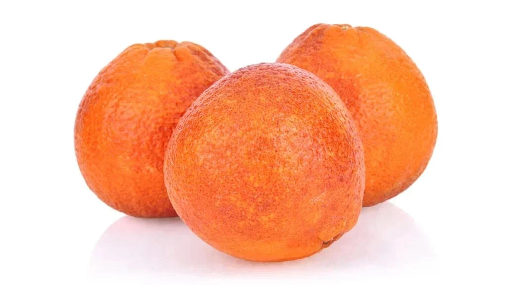 Moro Blood Orange Seeds - 5+ Pack for Gardening - Citrus sinensis - Organic, Non-GMO, Full Sun, USA Grown