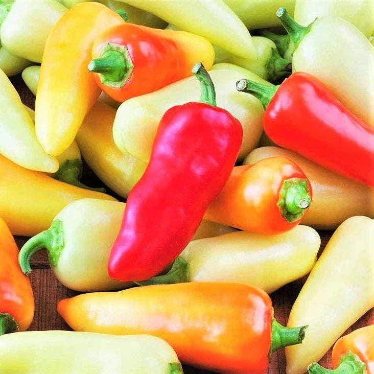 Santa Fe Grande Pepper Seeds - 100+ Count, Medium Heat, Capsicum annuum, for Salsas, Sauces, Garden & Container Growing