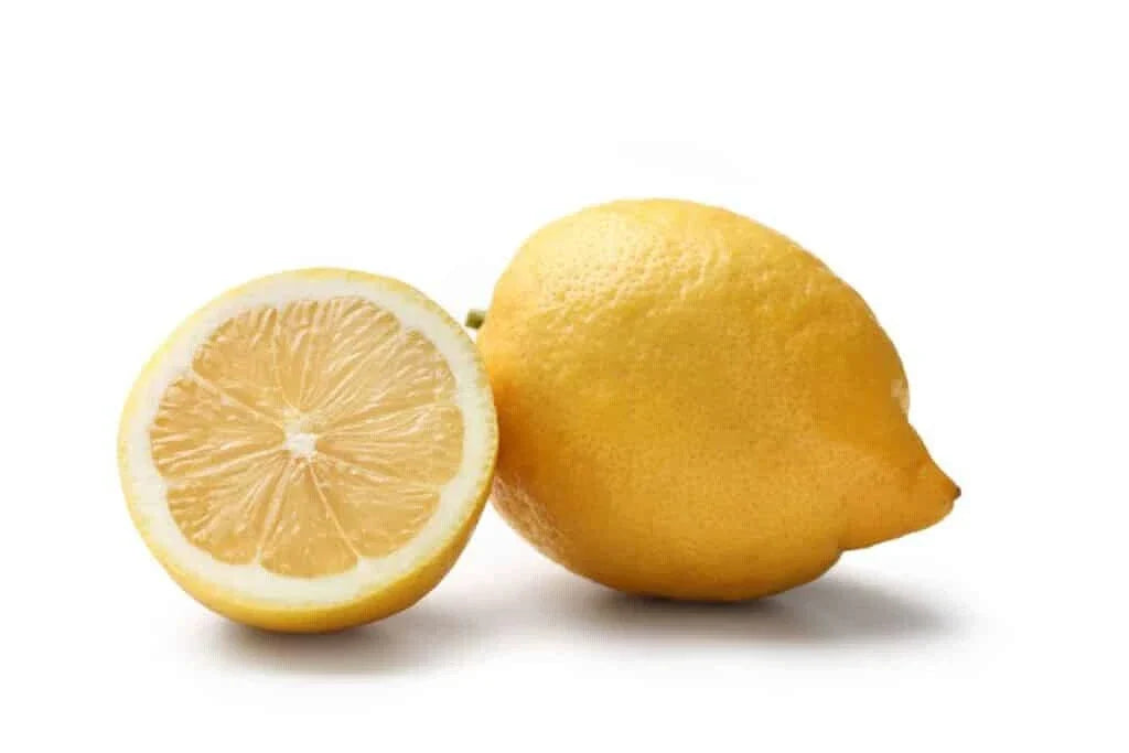 Interdonato Messina Lemon Seeds – Citrus limon Fruit Tree for Garden Planting – USA Grown, 5+ Pack