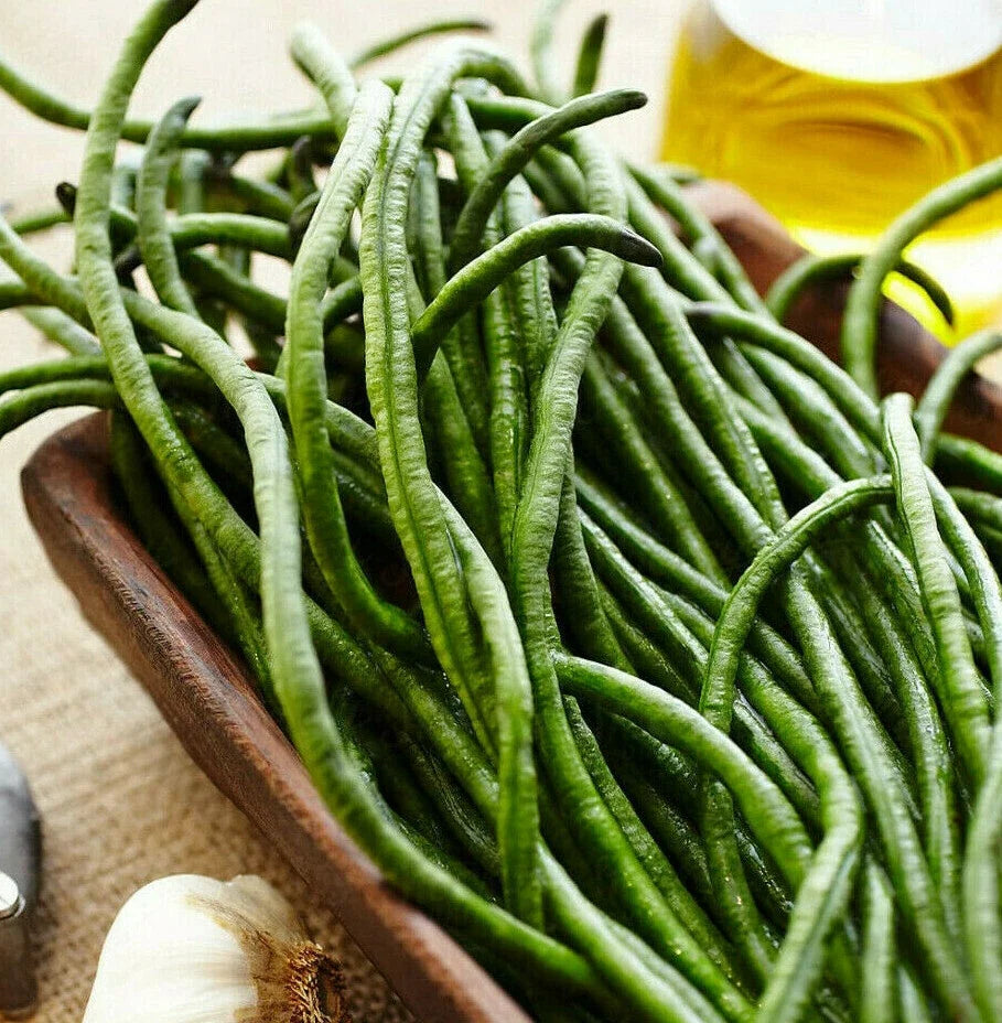 Yard Long Bean Seeds - Dark Green Variety, Asian Green Beans, Vigna unguiculata subsp. sesquipedalis, Organic, 50 Seeds