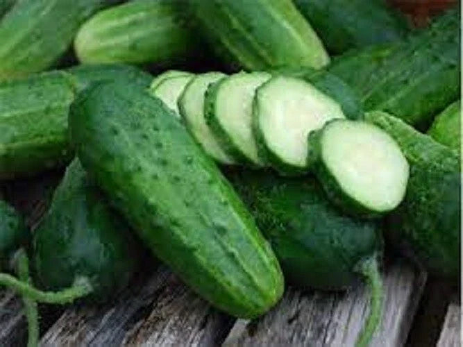 Premium Heirloom Boston Pickling Cucumber Seeds for Home Gardens, Cucumis sativus, Crunchy, Non-GMO, Full Sun, Vining