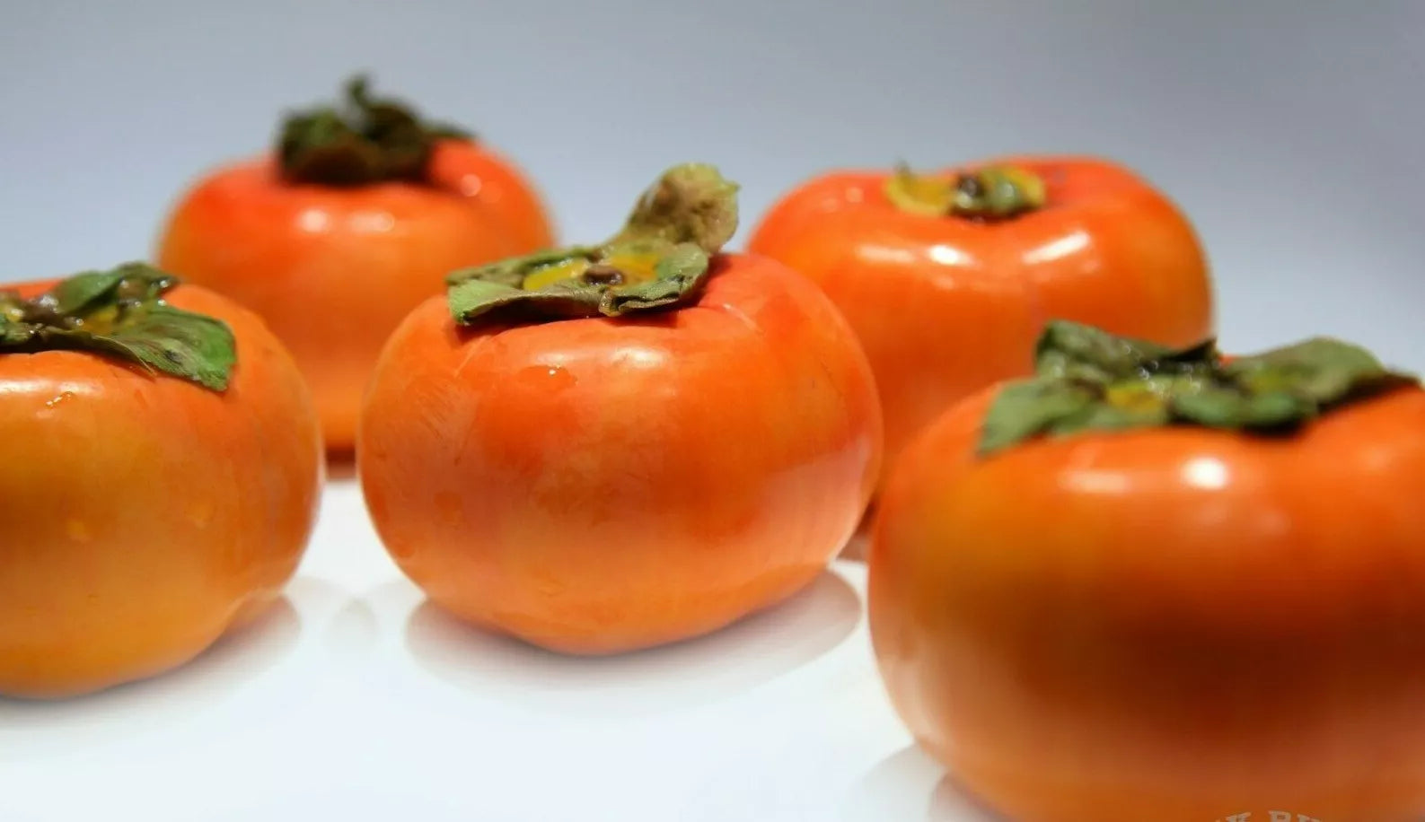 Fuyu Persimmon Tree Sapling 1-2ft Bare Root Diospyros Kaki Hardy Fruit Tree Zones 7-10