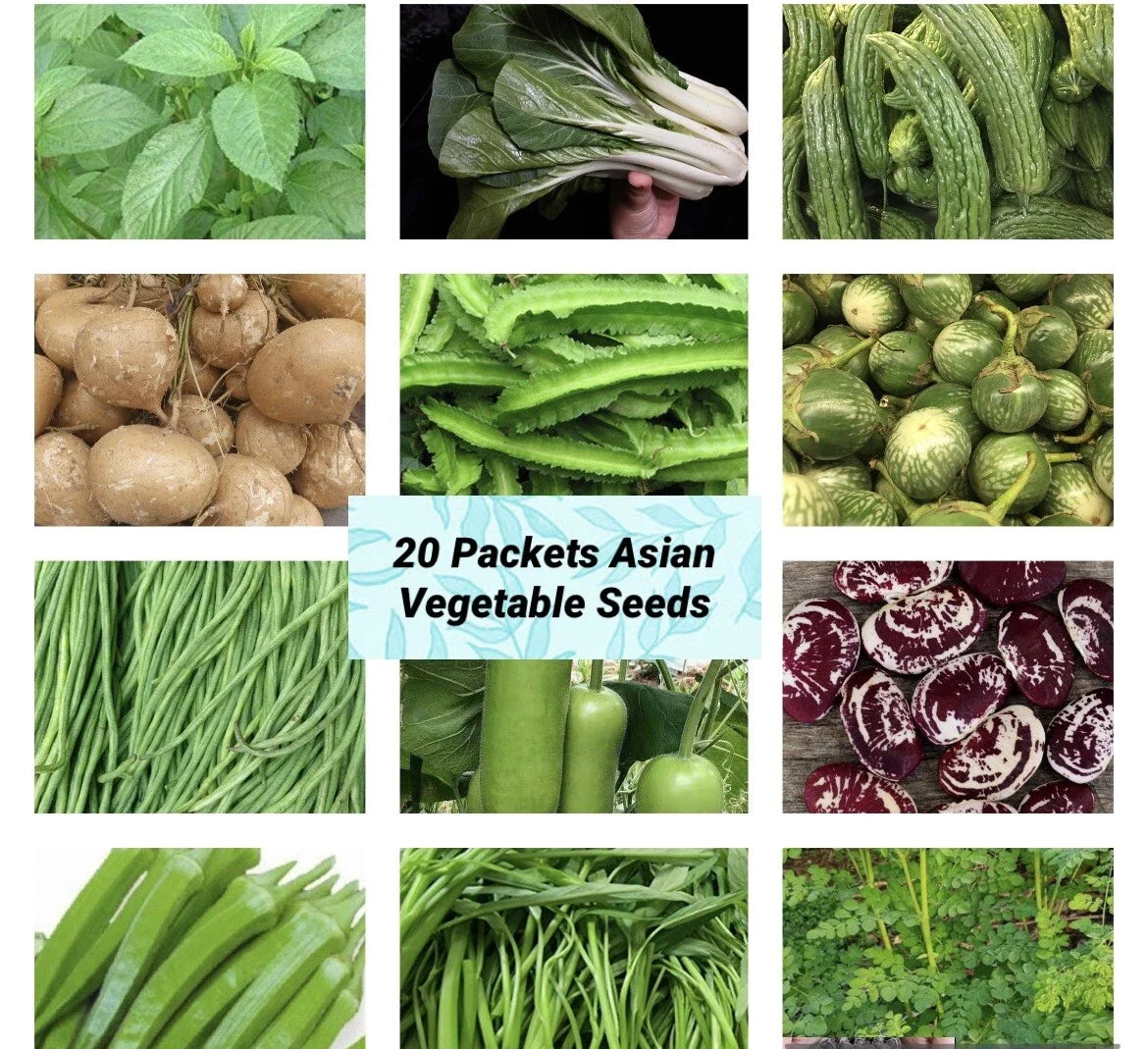 Asian Vegetable Seeds Packets – Non-GMO Heirloom Variety for Home Garden, Culinary Use, USA Seller