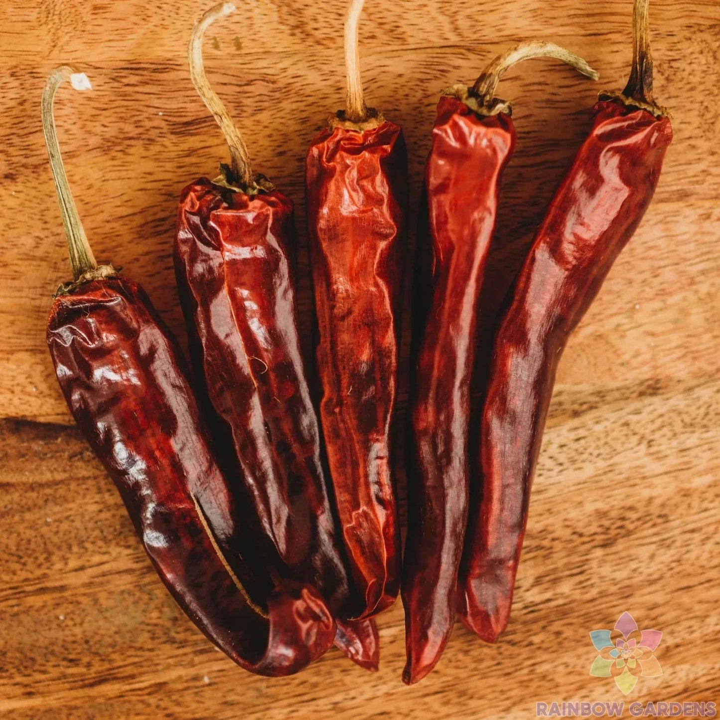 Mulato Chile Sweet Pepper Seeds - Pack of 25+ Capsicum annuum for Garden & Container Planting, Non-GMO, Full Sun, USA