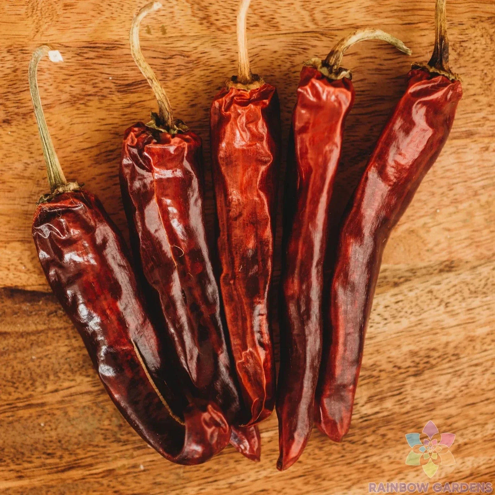 Mulato Chile Sweet Pepper Seeds - Pack of 25+ Capsicum annuum for Garden & Container Planting, Non-GMO, Full Sun, USA