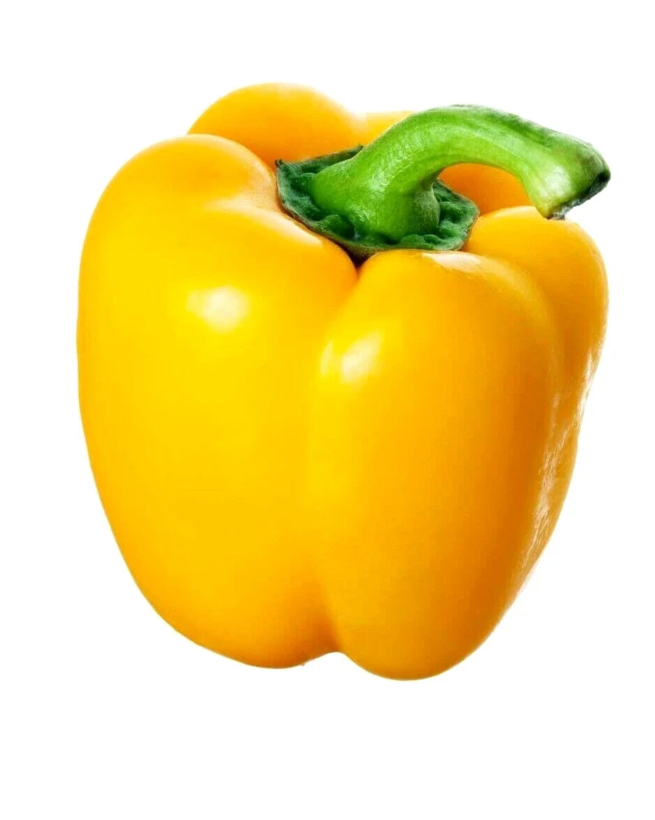 California Wonder Yellow Pepper Seeds – Heirloom Non-GMO, Pack of 25, Sweet Capsicum annuum for Spring Garden, Container & Garden Bed