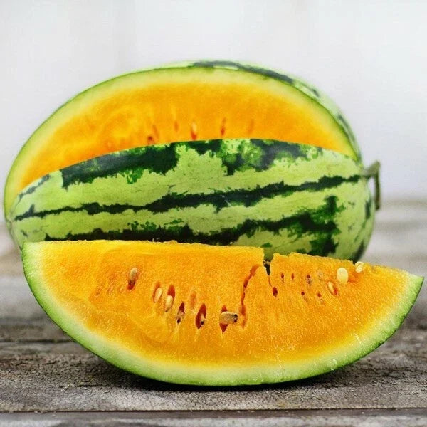 Orangeglo Watermelon Seeds – Heirloom Non-GMO Organic Citrullus lanatus for Home Garden, Juicy Orange-Fleshed Melons