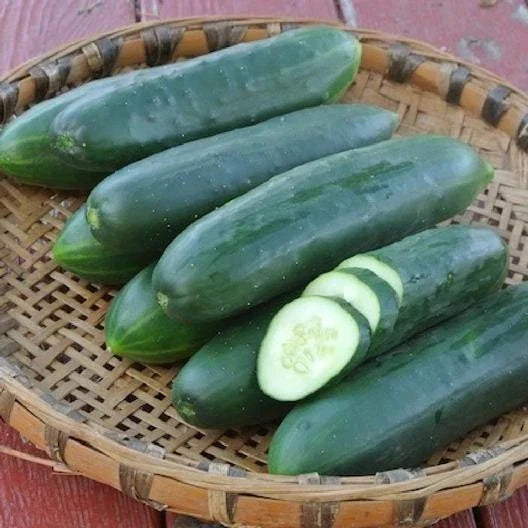 Cucumber Vegetable Seeds - 30 Fresh Slicing Seeds for Home Garden