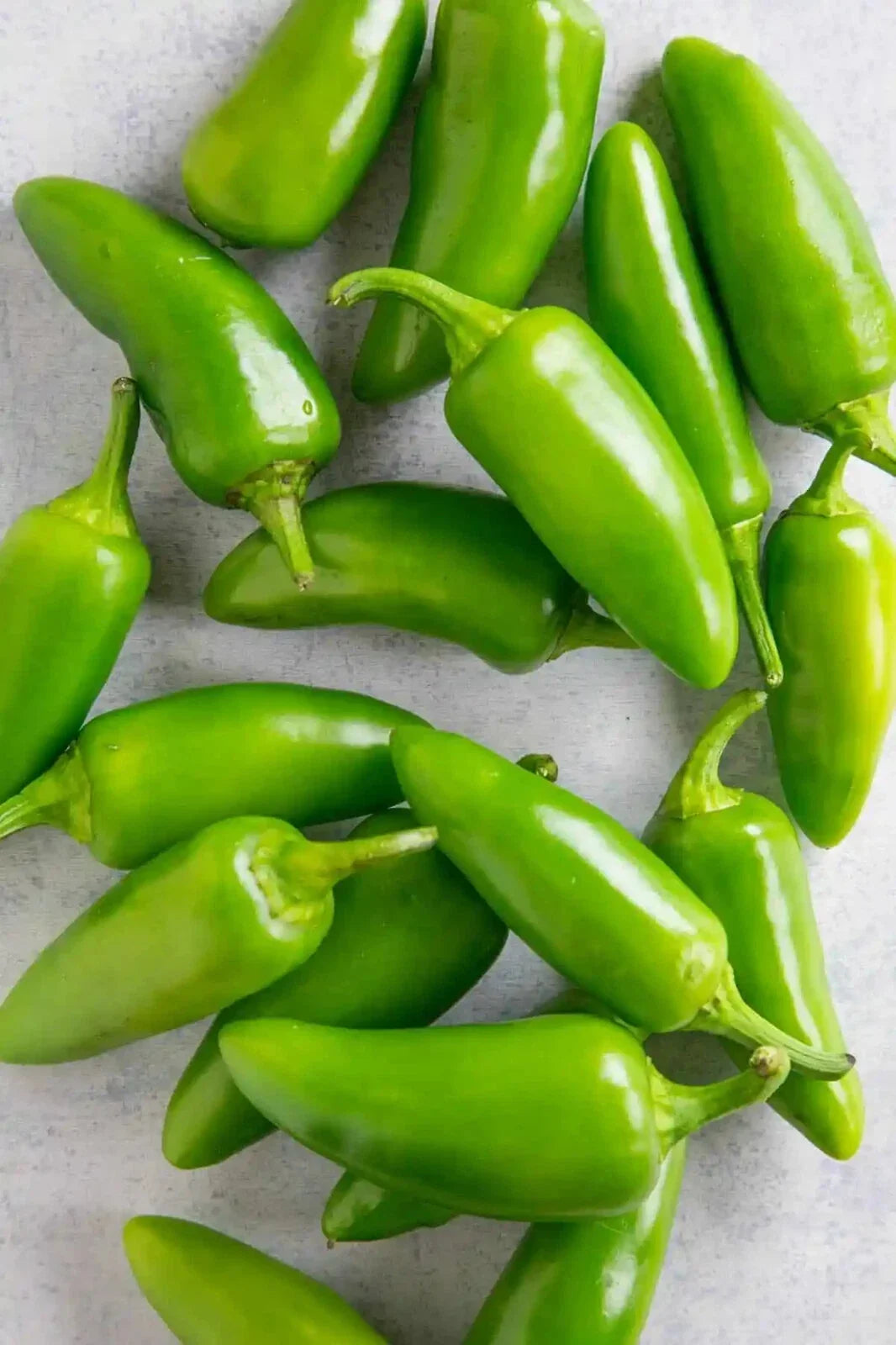 Jalapeno Pepper Seeds - Heirloom Capsicum annuum - 10 Pack for Spicy Garden, Indoor & Outdoor Growing