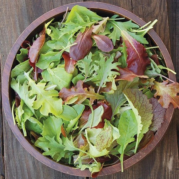 Mesclun Mix Lettuce Seeds - Non-GMO Heirloom Blend for Salad Greens - Lactuca sativa