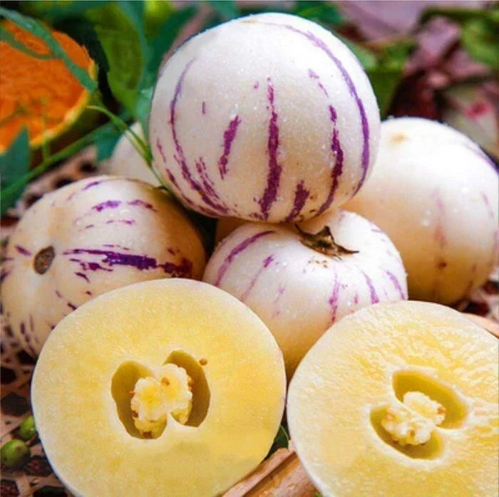 Pepino Melon Seeds - 10 Pack, Solanum muricatum, Exotic Fruit, Melon Pear, Sweet Cucumber, Juicy, Easy to Grow