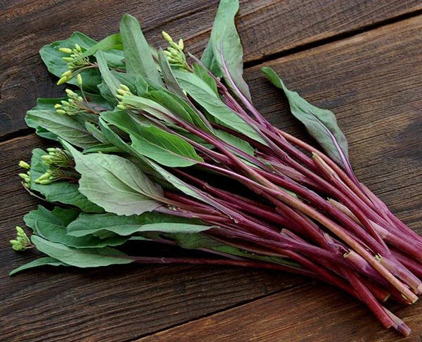 Purple Choy Sum Seeds – 200+ Heirloom Non-GMO Brassica rapa var. parachinensis for Home Gardening & Cooking