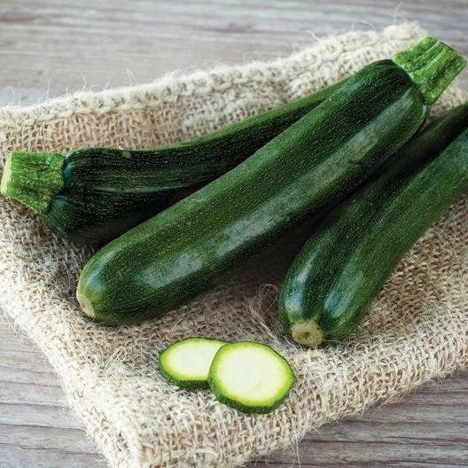 Black Beauty Zucchini Seeds – Summer Squash Cucurbita pepo, Bush Type, Pack of 20 Seeds, Non-GMO, Trackable Shipping