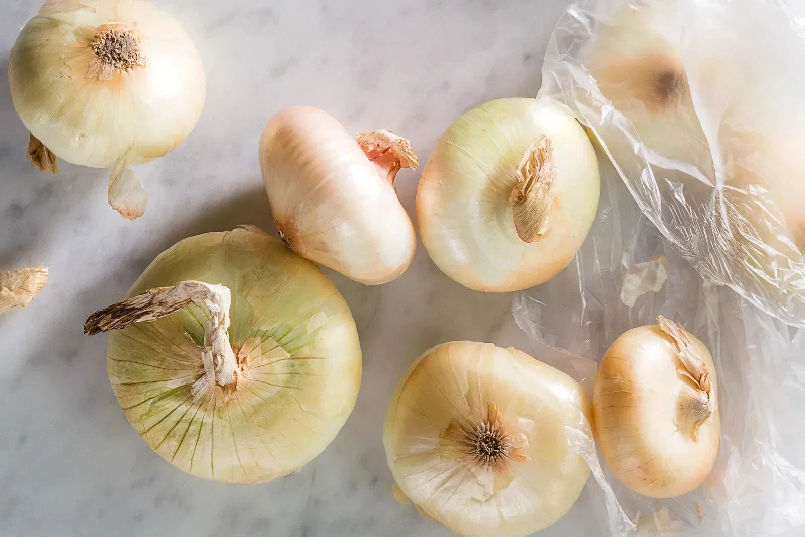 Cipollini Onion Seeds - 500+ Allium cepa Italian Pearl Vegetable Seeds for Gardening, Non-GMO, Heirloom, Gourmet Cooking