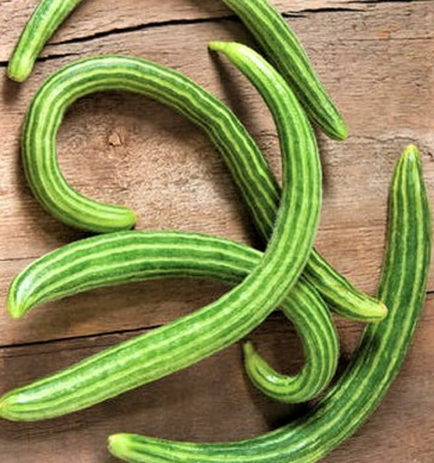Dark Armenian Cucumber Seeds – Non-GMO Organic Cucumis sativus, Long Slim Cucumbers for Salad, Pickling & Gourmet Dishes, 50 Seeds