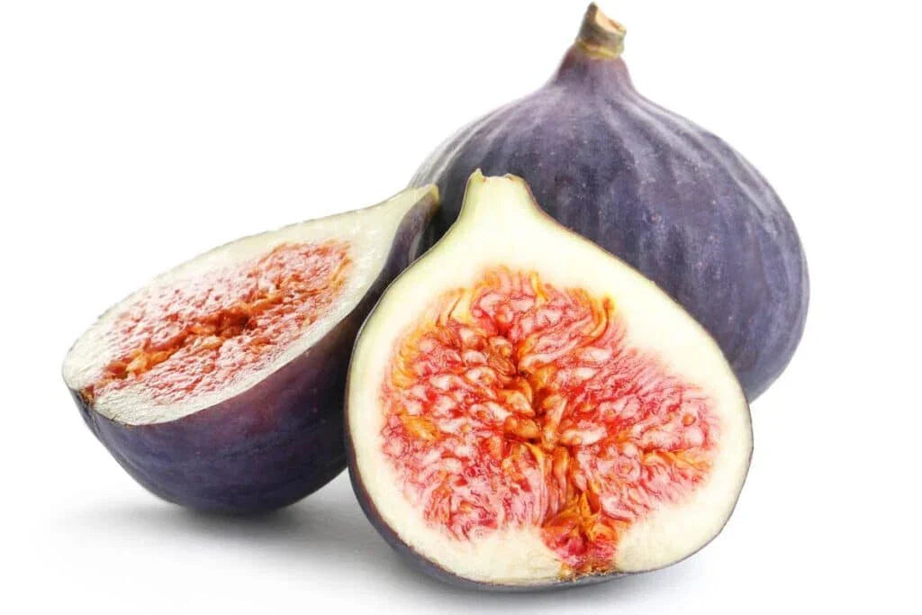 Portuguese Fig Seeds - 100+ Count Roxo Variety - USA Grown