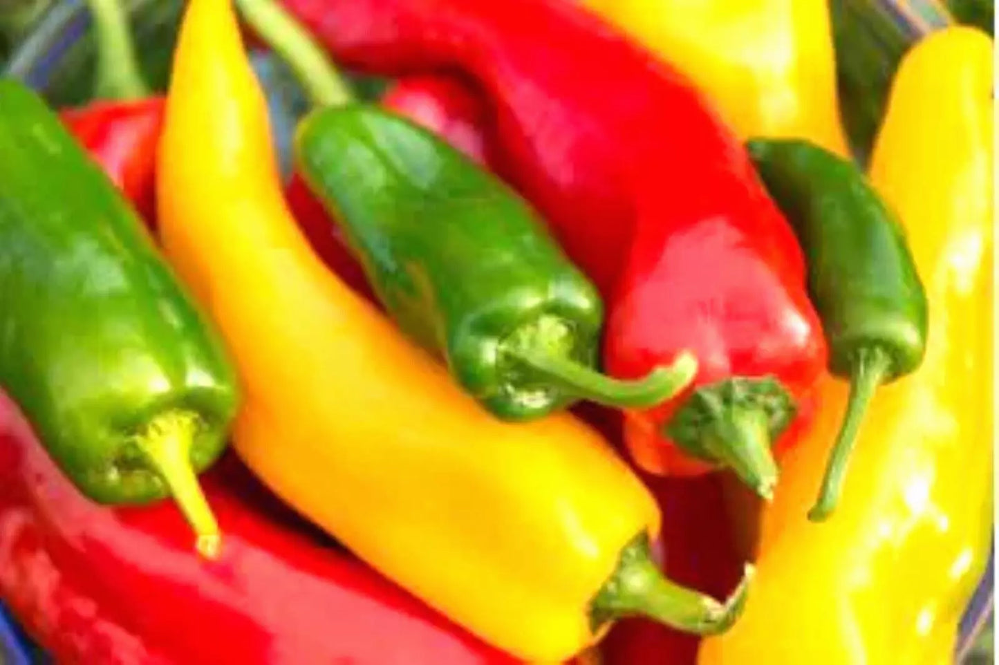 Corno di Toro Sweet Pepper Seeds – Non-GMO Capsicum annuum, 50+ Seeds for Gardening, Edible, Vibrant, Full Sun, Indoor & Outdoor
