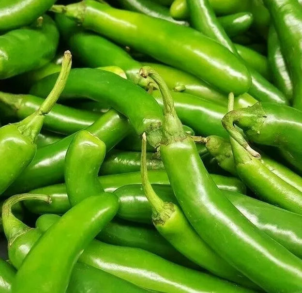 Serrano Pepper Seeds - 50+ Hot Spicy Capsicum annuum for Culinary Use
