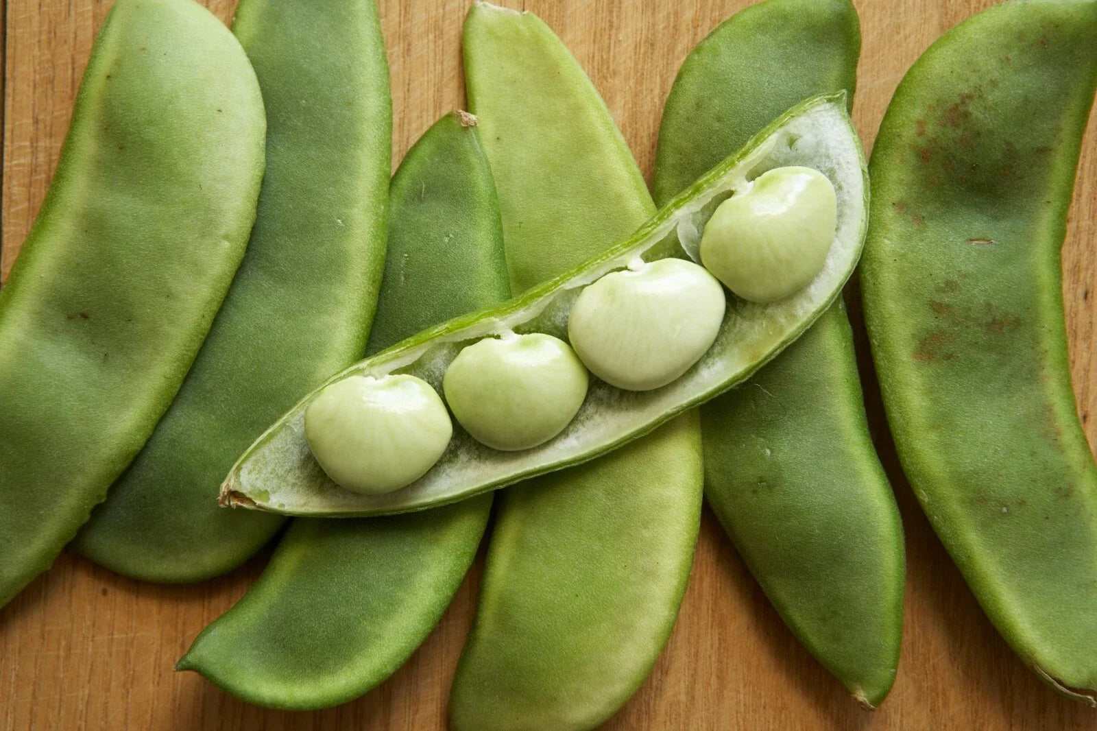 Lima Bean Seeds - Fordhook 242 Variety - Organic Phaseolus lunatus - Home Garden, Fresh & High Germination