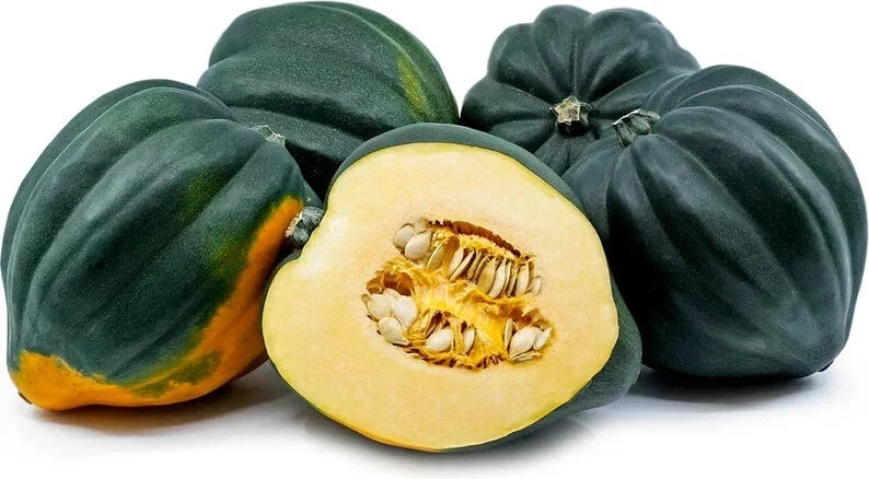 Organic Acorn Winter Squash Seeds - Heirloom Cucurbita pepo, 10 Pack, USA Grown, Full Sun, Nutty Flavor, Vegetable Seed