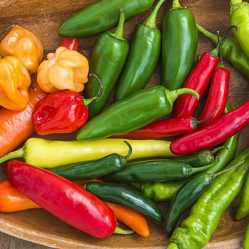 Hot and Happy Pepper Mix Seeds - 25+ Heirloom Capsicum Varieties for Home Gardening