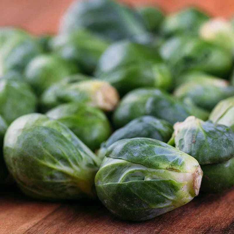 Catskill Brussels Sprouts Seeds - NON-GMO Brassica oleracea | Packet Sizes
