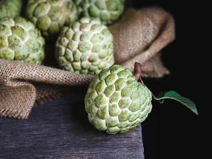 Cherimoya Seeds - Organic Custard Apple Seeds for Sweet Fruit Garden - Annona cherimola - Easy to Grow, TX USA