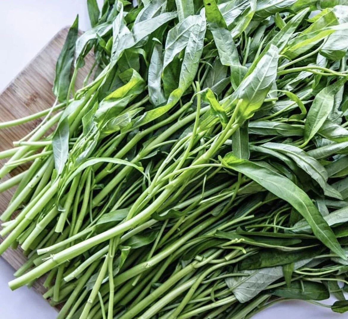 Water Spinach Seeds - 50+ Seeds, Ong Choy/KangKong, Rau Muống, Ipomoea aquatica, Aquatic Vegetable for Gardening