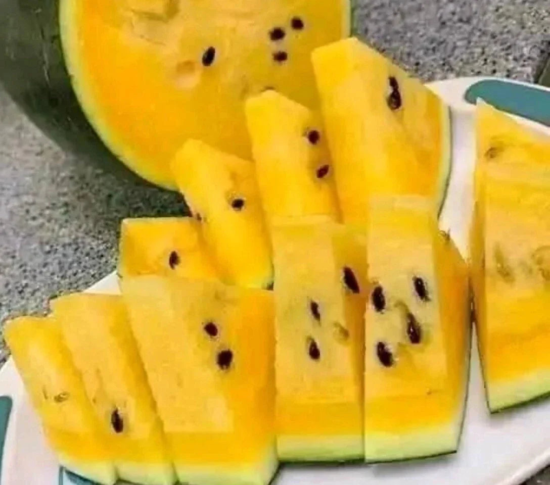 Yellow Watermelon Seeds - Pack of 10+ Non-GMO Citrullus lanatus True to Color Rare Variety for Home Garden & Container Growing
