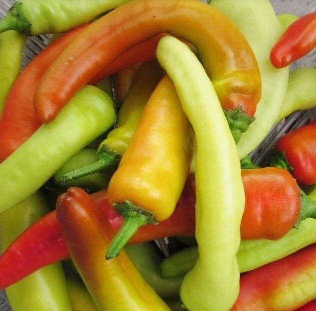 Hungarian Wax Hot Pepper Seeds - 400 Non-GMO Heirloom Capsicum annuum Seeds