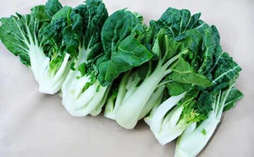 Canton Pak Choi Seeds - 200+ Non-GMO Brassica rapa subsp. chinensis Vegetable Seeds for Home Garden, Container Growing