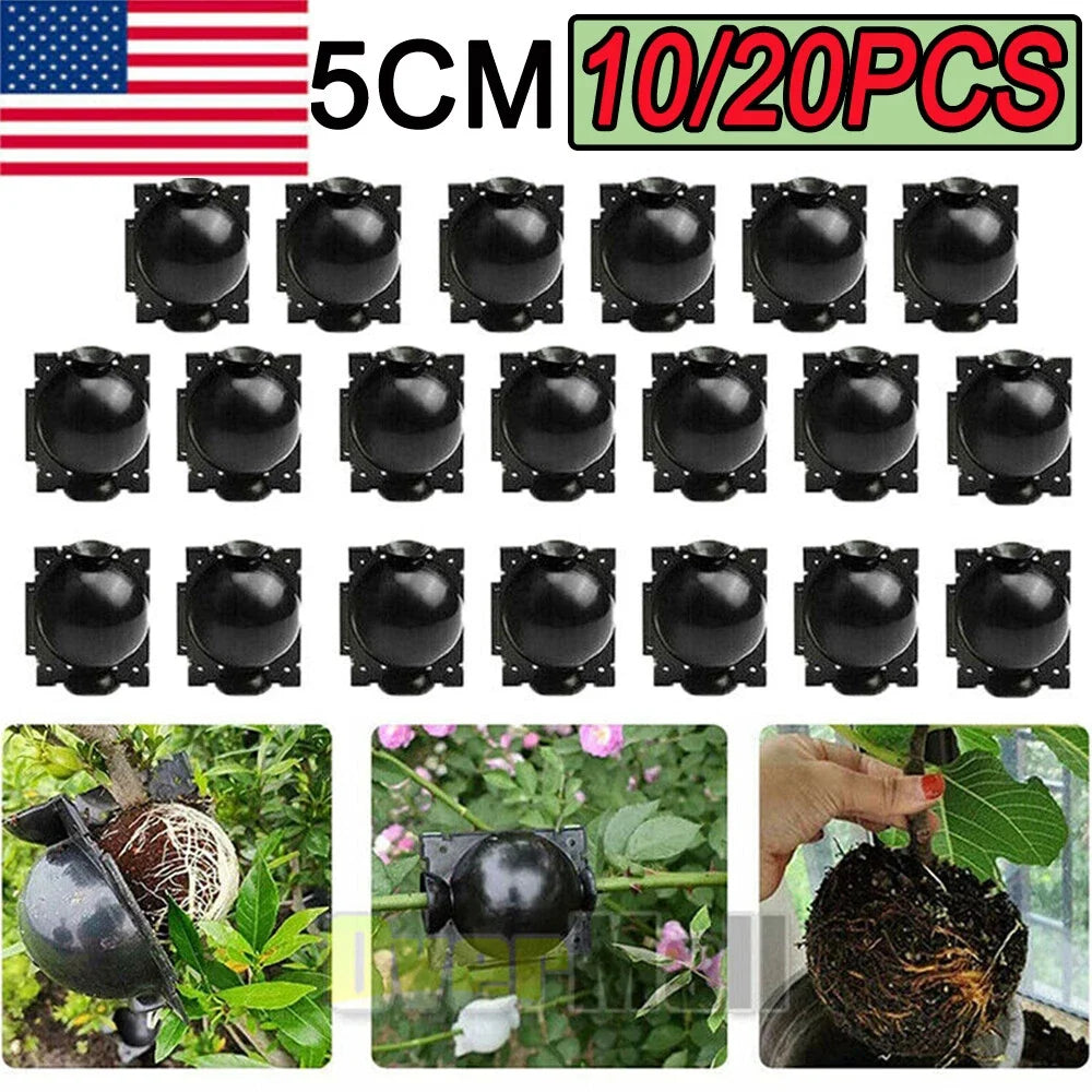 Plant Rooting Devices Set of 10/20X for Propagation and Grafting - High Pressure Plant Grafting Box for Hydroponics
