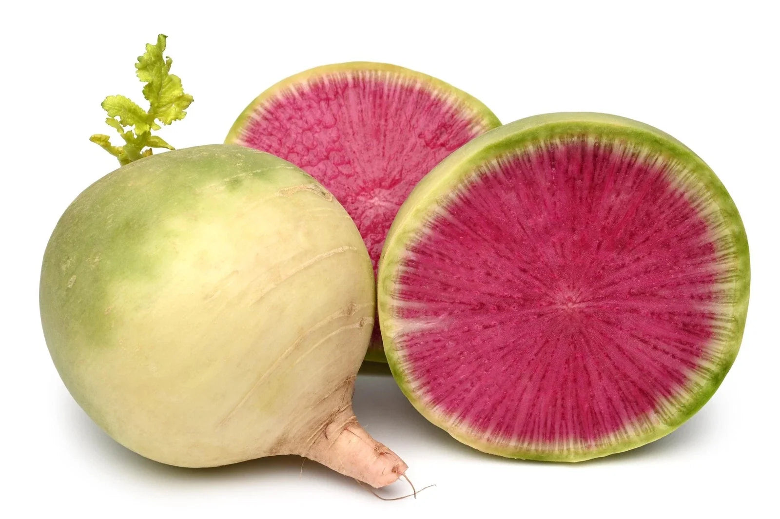Watermelon Radish Seeds Non-GMO Heirloom Raphanus sativus for Backyard Gardening, Salad, Garnish