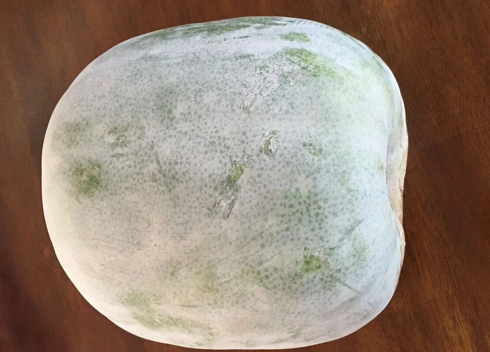 Wax Gourd Seeds - 20+ White Ash Gourd Winter Melon Cucurbita maxima for Home Gardening