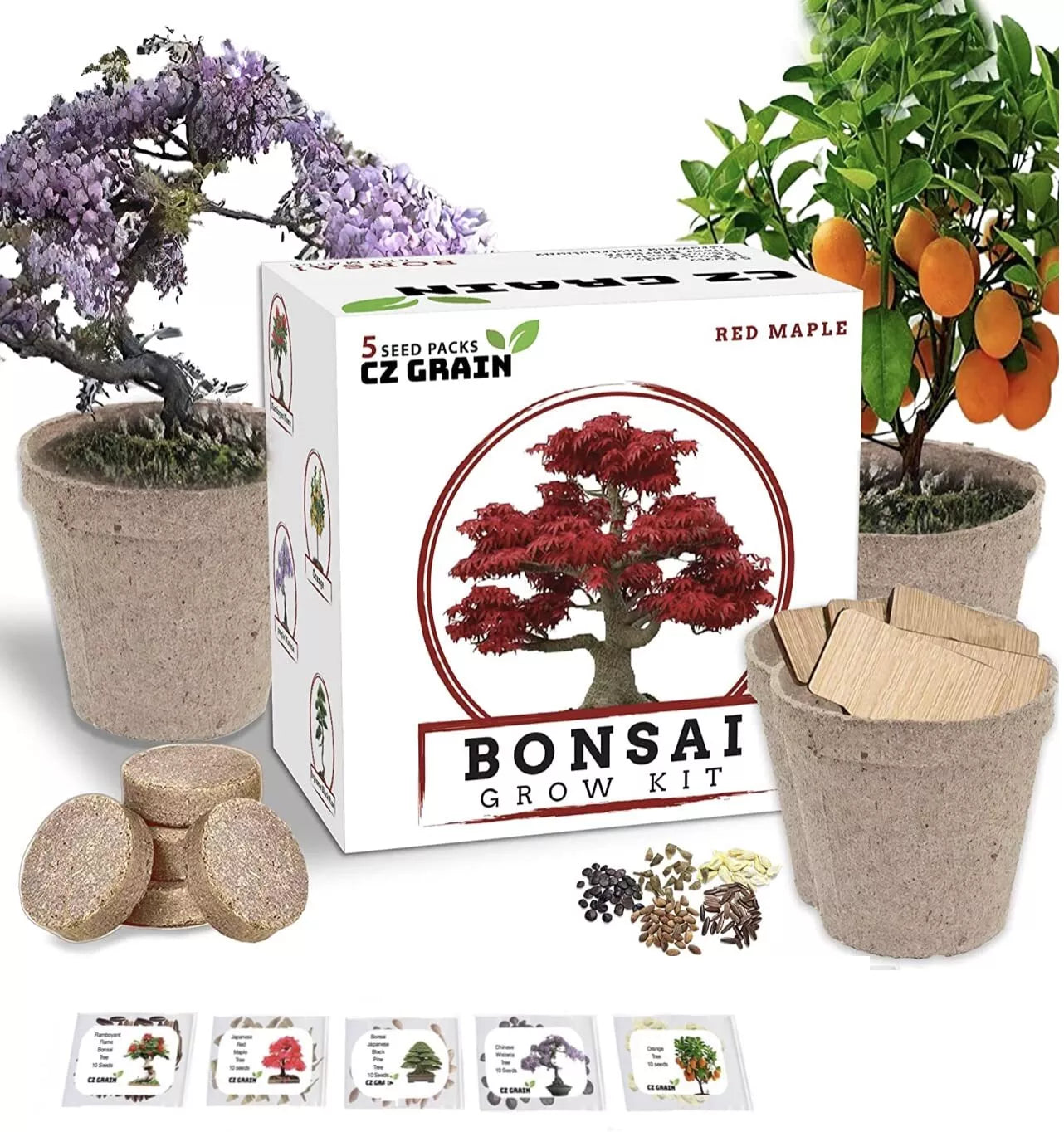 Bonsai Tree Kit - All-in-One Grow 5 Species (Ficus, Juniper, Pine, Maple, Elm) Miniature Indoor & Outdoor Plant Set