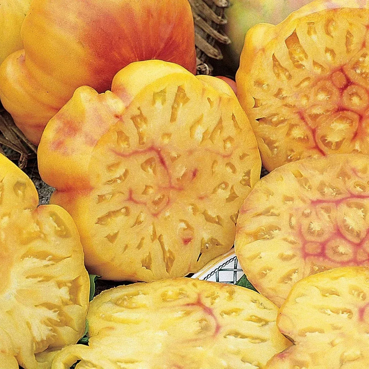 Pineapple Tomato Seeds - 120+ Heirloom Organic Non-GMO Rare Variety