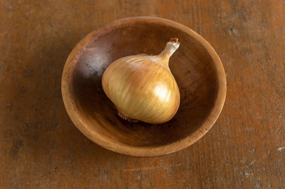 Walla Walla Sweet Onion Seeds - 500+ Pack Heirloom Allium cepa USA Grown Non-GMO Gardening Seeds