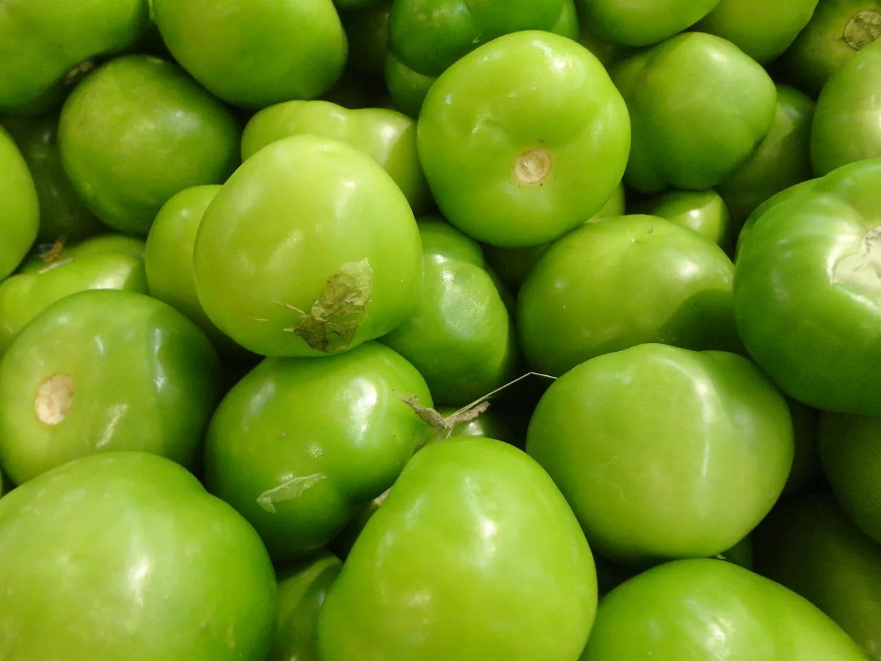 Tomatillo Seeds 100 Ct Heirloom Non-GMO Verde Physalis ixocarpa for Salsa and Cooking