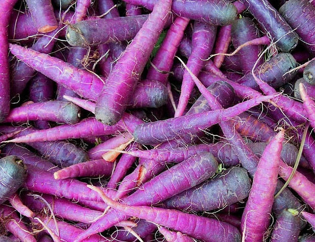 Cosmic Purple Carrot Seeds - 300+ Non-GMO Vegetable Seeds Daucus carota