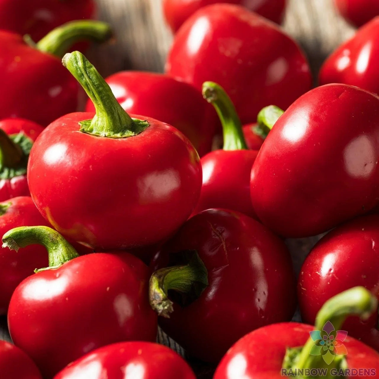 Red Cherry Hot Pepper Seeds - Capsicum annuum, 25+ Non-GMO Seeds for Garden, Container or Bed Planting, Spicy Culinary Use