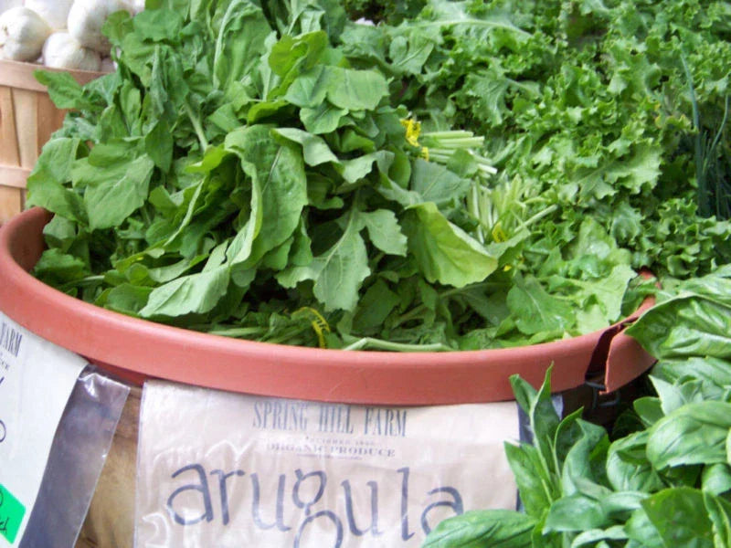 Arugula Seeds 700 Count - Eruca sativa Roquette Salad Greens